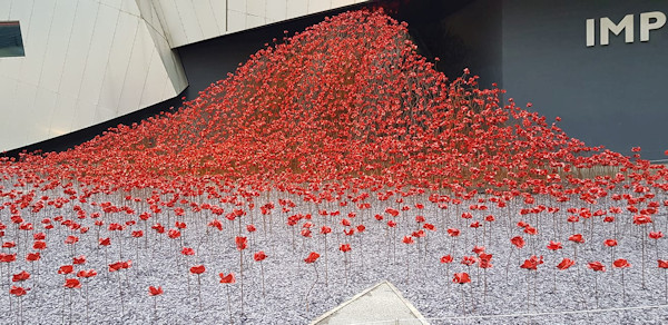 A close-up of the ceramic poppies