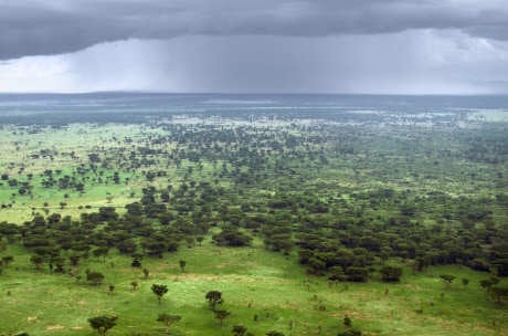 Queen Elizabeth National Park, Uganda