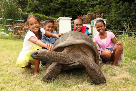 School kids with Jonathan, a giant toroise who is thought to be 150-200 years old