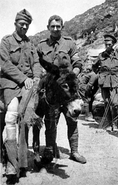 Photograph of Simpson and his donkey Photograph of Simpson and his donkey