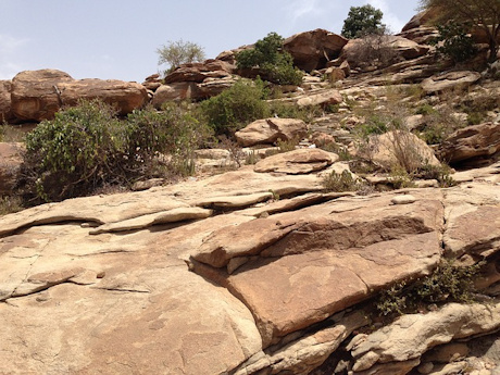 Somalia landscape