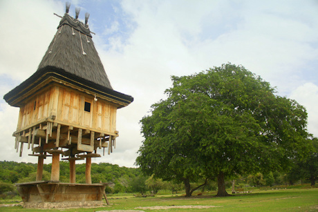 A traditional house in East Timor