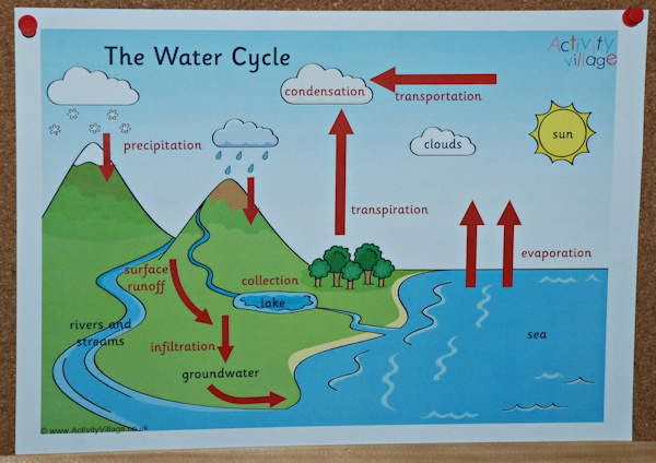 Activity Village's water cycle poster up on our board