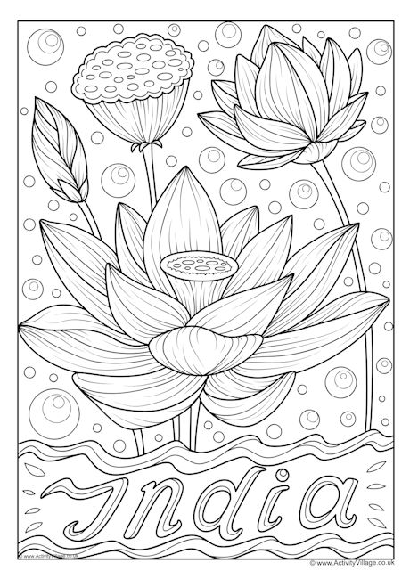 India national flower colouring page India national flower colouring page