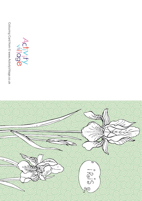 Iris Colour Pop Colouring Card