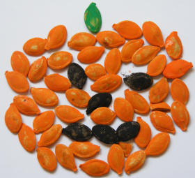 Pumpkin seed jack o' lantern mosaic