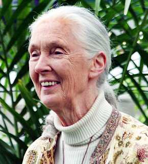 Jane Goodall