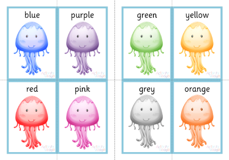 Jellyfish colour flash cards