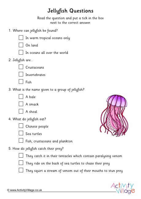 Jellyfish comprehension questions - multiple choice