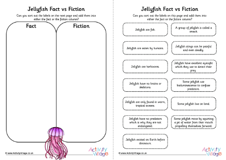 Jellyfish fact vs fiction Jellyfish fact vs fiction