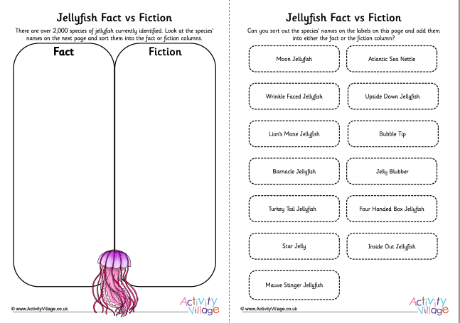 Jellyfish species fact vs fiction Jellyfish species fact vs fiction