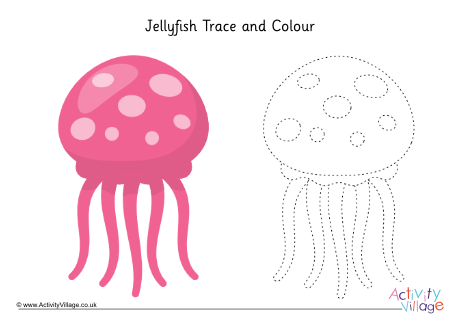 Jellyfish trace and colour 2