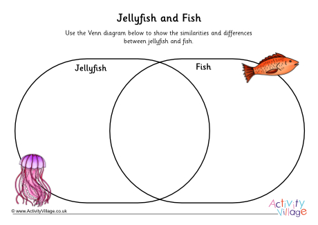 Jellyfish vs fish Venn diagram Jellyfish vs fish Venn diagram