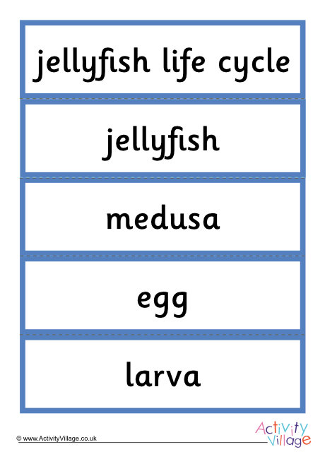 Jellyfish word cards