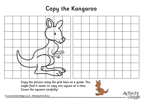Kangaroo grid copy