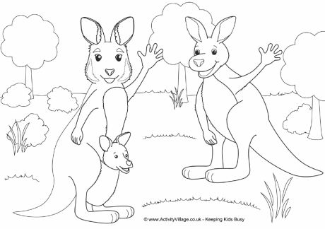 Kangaroo scene colouring page