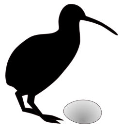 Kiwi bird to egg ratio, from Wikipedia