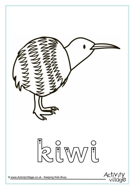 Kiwi finger tracing