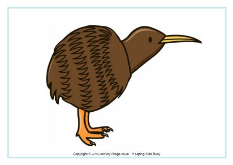 Kiwi poster 2