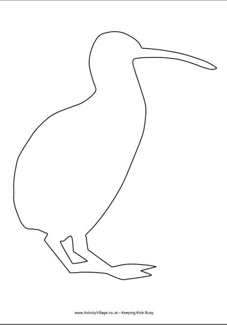 Kiwi template 1