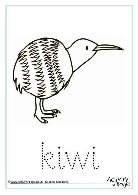 Kiwi word tracing