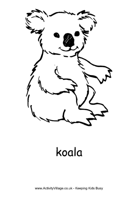 Koala colouring page