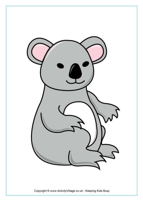Koala poster 2