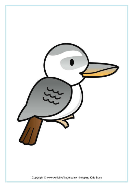 Kookaburra poster