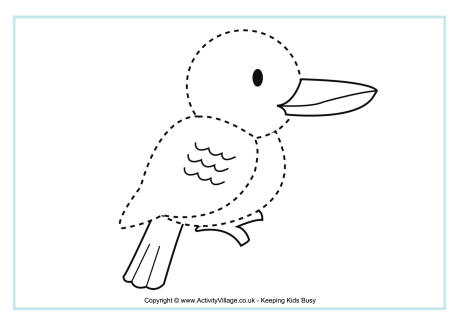 Kookaburra tracing