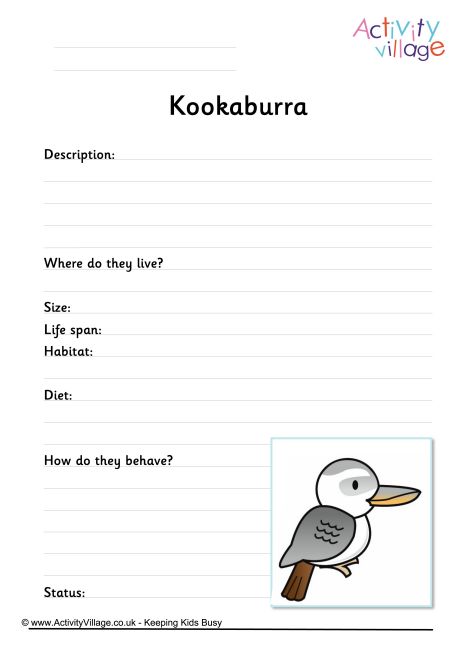 Kookaburra worksheet  