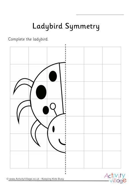 Ladybird symmetry worksheet