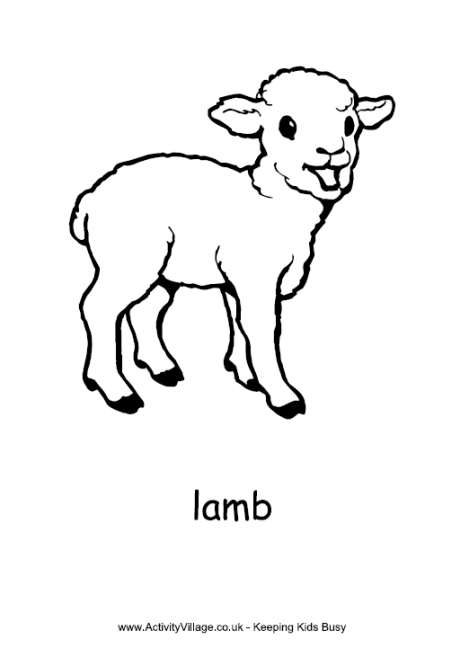 Lamb colouring page