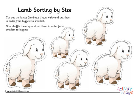 Lamb Size Sorting