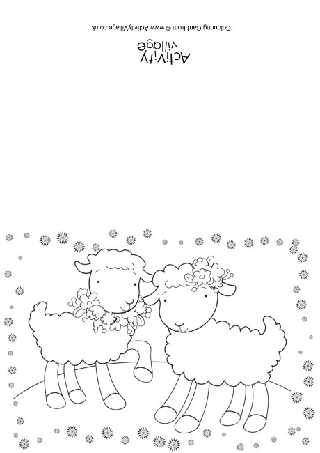 Lambs Colouring Card