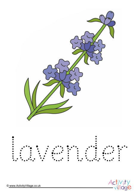 Lavender Word Tracing