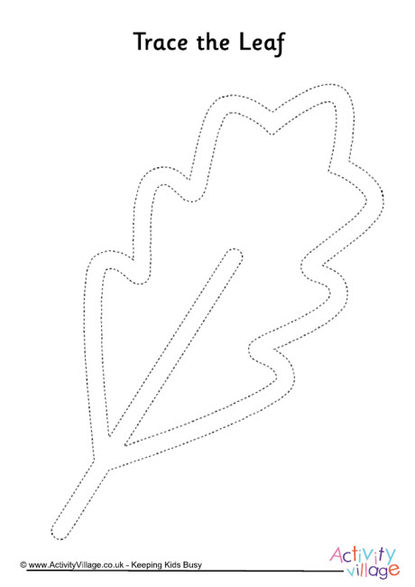 Leaf tracing page 2