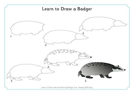Learn to draw a badger 