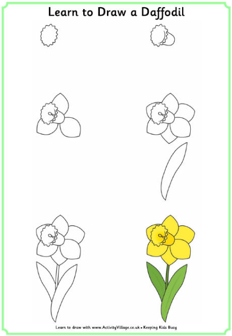 Learn to draw a daffodil Learn to draw a daffodil
