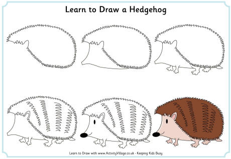 Learn to Draw a Hedgehog