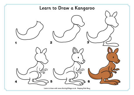 Learn to draw a kangaroo