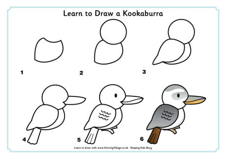 Learn to draw a kookaburra