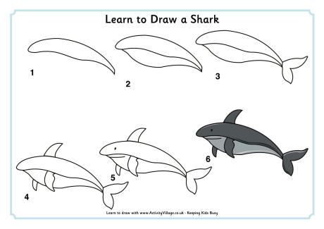 Learn to draw a shark