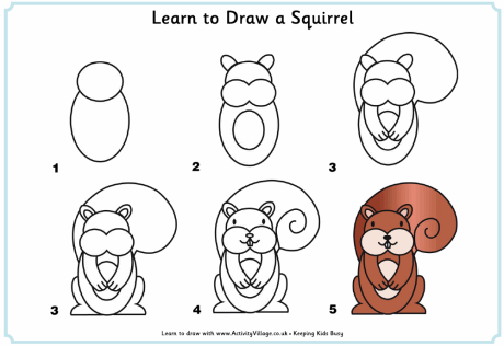 learn_to_draw_a_squirrel_0.gif