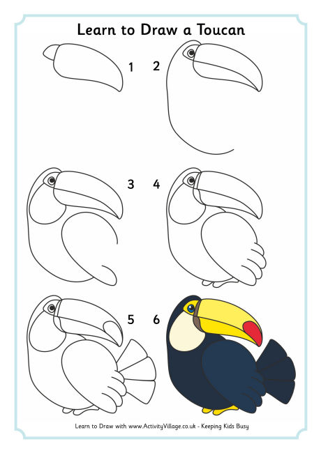 Learn To Draw A Toucan