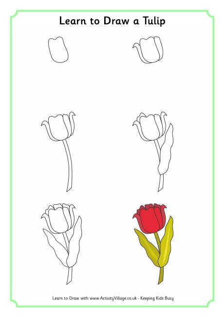 Learn to Draw a Tulip