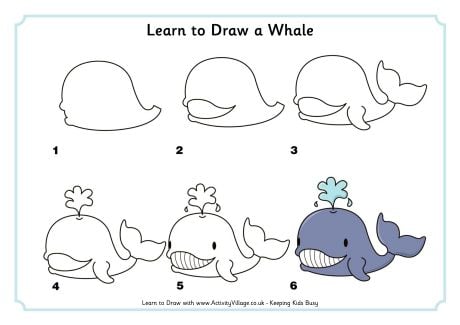 Learn to draw a whale