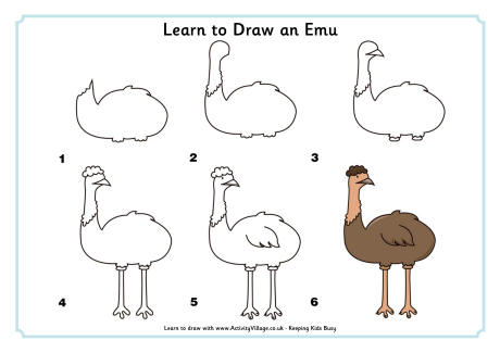 Learn to draw an emu