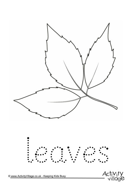 Leaves Word Tracing