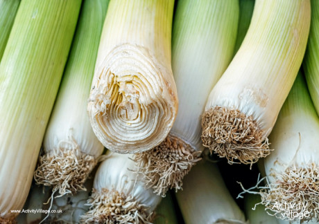 Leek poster 2