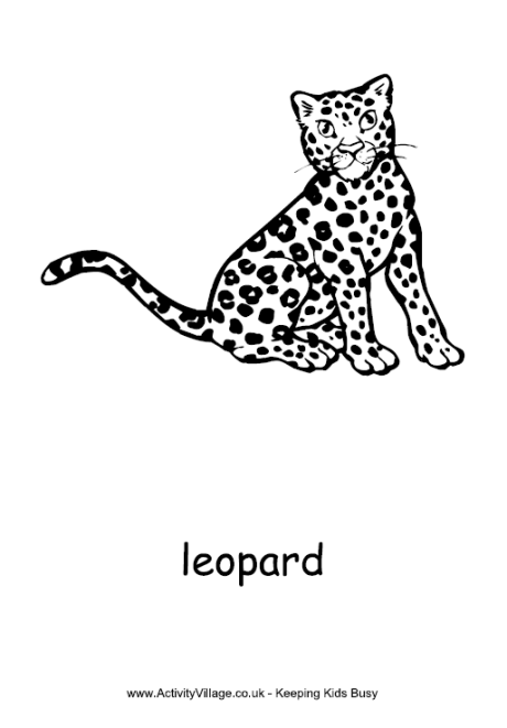 Leopard colouring page